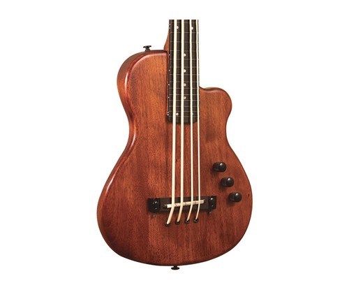 Gold tone bass fretless - gold,