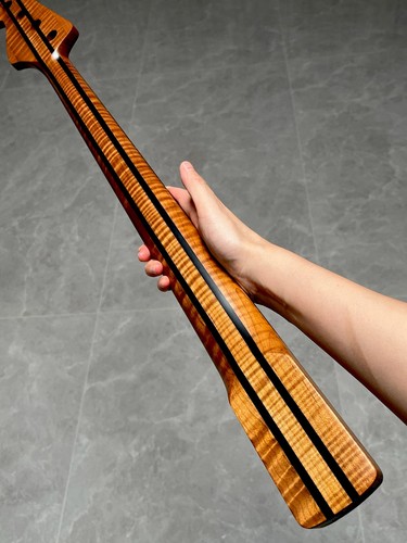 Aaaaa5piece fretless style - aaaaa5piece,